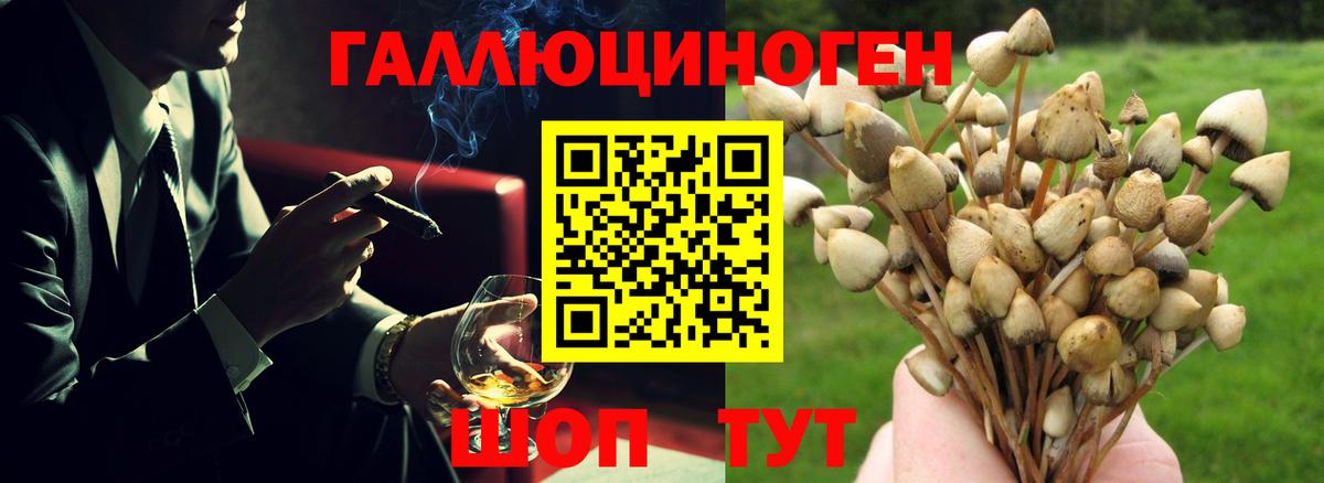 Псилоцибиновые грибы ЛСД  Псилоцибиновые грибы Magic Shrooms  Вход с VPN  Зима 