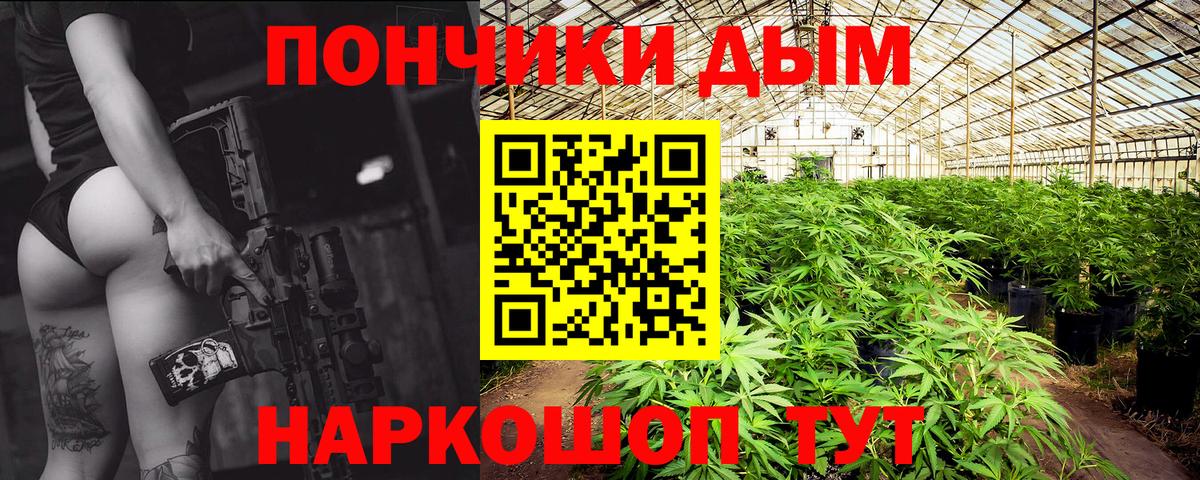 Бошки Шишки индика Зима